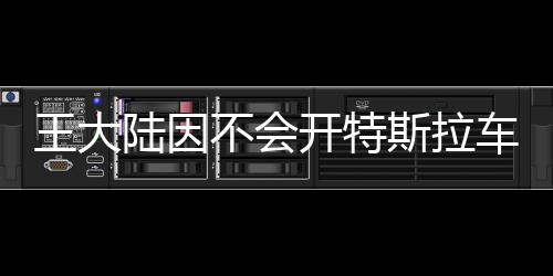 王大陸因不會開特斯拉車門捶窗，引發(fā)社交媒體熱議