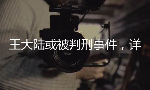 王大陸或被判刑事件，詳細(xì)解讀與多方關(guān)注