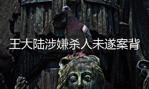 王大陸涉嫌殺人未遂案背后的真相——經(jīng)紀人的回應揭秘