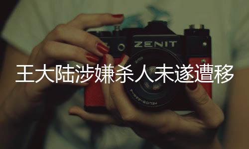 王大陸涉嫌殺人未遂遭移送偵辦