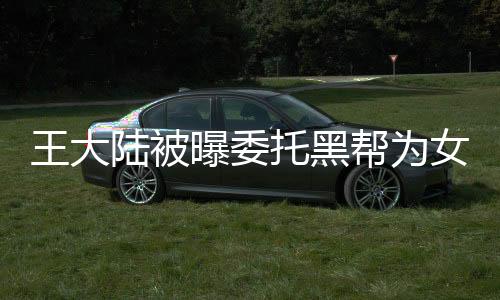 王大陸被曝委托黑幫為女友討債，事件內(nèi)幕揭秘