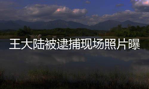 王大陸被逮捕現(xiàn)場照片曝光，一探究竟