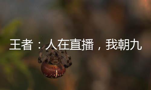王者：人在直播，我朝九晚五！