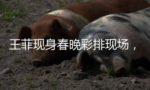 王菲現(xiàn)身春晚彩排現(xiàn)場，掀起娛樂圈熱議