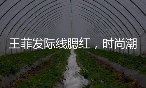 王菲發(fā)際線腮紅，時尚潮流的新焦點