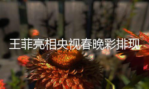 王菲亮相央視春晚彩排現(xiàn)場，引爆全民期待熱潮