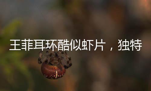 王菲耳環(huán)酷似蝦片，獨(dú)特時(shí)尚引領(lǐng)潮流