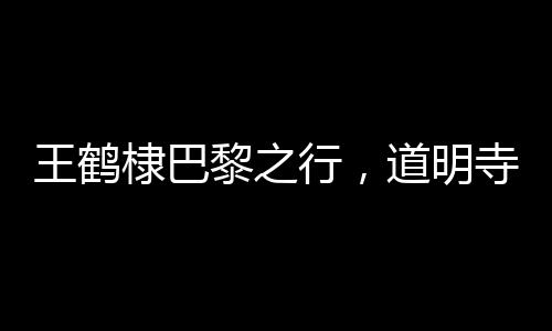 王鶴棣巴黎之行，道明寺風(fēng)格的時尚演繹