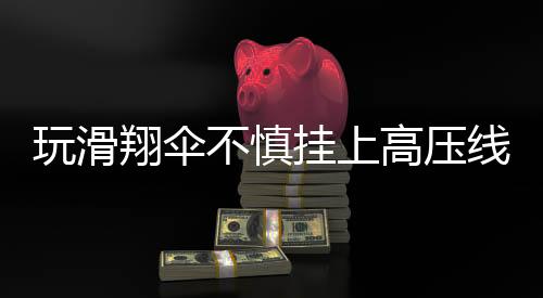 玩滑翔傘不慎掛上高壓線(xiàn)，驚險(xiǎn)一幕引發(fā)社會(huì)關(guān)注