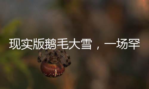 現(xiàn)實版鵝毛大雪，一場罕見的冬日盛景