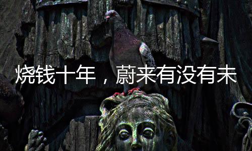 燒錢(qián)十年，蔚來(lái)有沒(méi)有未來(lái)？