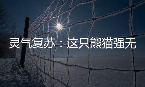 靈氣復(fù)蘇：這只熊貓強(qiáng)無敵