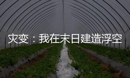 災(zāi)變：我在末日建造浮空城