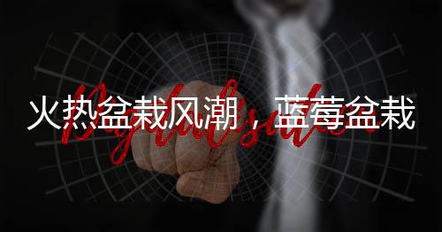 火熱盆栽風(fēng)潮，藍(lán)莓盆栽成為新晉綠色時尚
