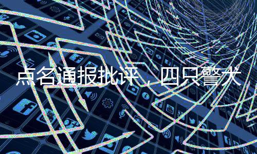 點名通報批評，四只警犬被責令改正工作態(tài)度與紀律作風
