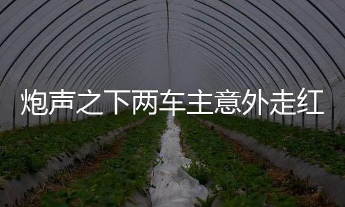 炮聲之下兩車主意外走紅，漲粉逾二十萬(wàn)背后的故事