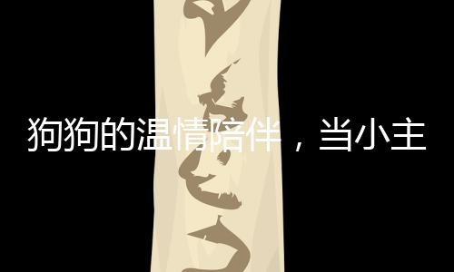 狗狗的溫情陪伴，當(dāng)小主人踏上歸途，狗狗主動趴下做腳墊子