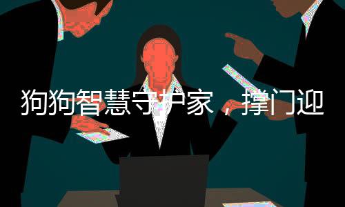 狗狗智慧守護家，撐門迎接奶奶的溫馨瞬間