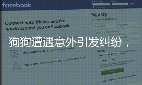 狗狗遭遇意外引發(fā)糾紛，主人訓斥鄰居并引起關注