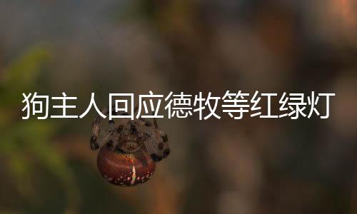 狗主人回應德牧等紅綠燈時突然跳車事件