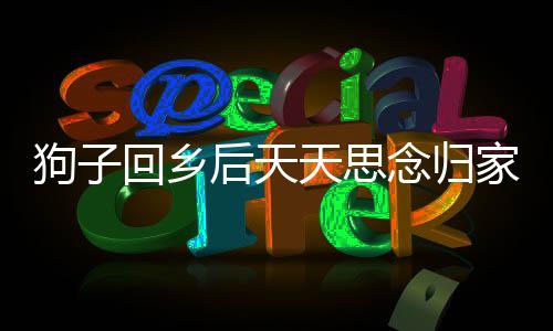 狗子回鄉(xiāng)后天天思念歸家路，情感牽絆引人心弦