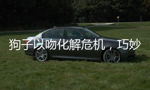 狗子以吻化解危機(jī)，巧妙應(yīng)對(duì)挨揍危機(jī)