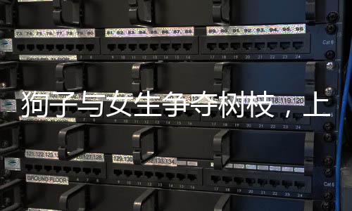 狗子與女生爭奪樹枝，上演機智躲腿記