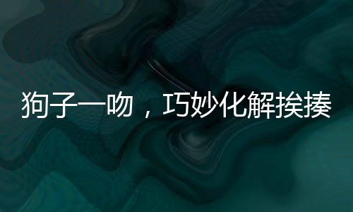 狗子一吻，巧妙化解挨揍危機(jī)