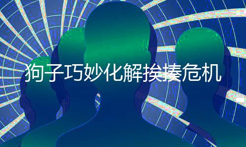 狗子巧妙化解挨揍危機(jī)