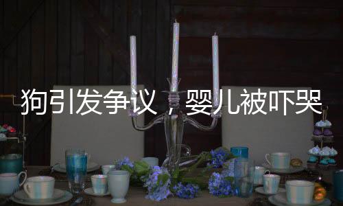 狗引發(fā)爭議，嬰兒被嚇哭，家長驅(qū)趕遭狗主人怒斥