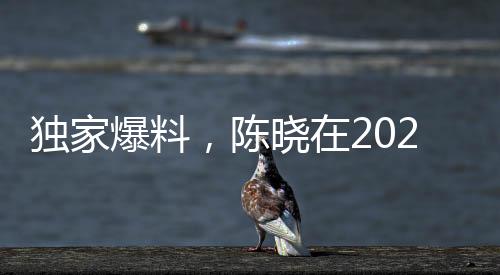 獨家爆料，陳曉在2023年曾提出凈身出戶