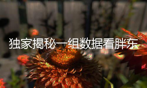 獨家揭秘一組數(shù)據(jù)看胖東來有多火