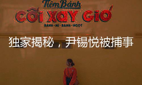 獨(dú)家揭秘，尹錫悅被捕事件全記錄