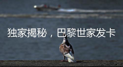 獨(dú)家揭秘，巴黎世家發(fā)卡背后的故事，售價(jià)高達(dá)2700元