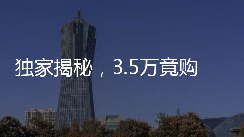 獨家揭秘，3.5萬竟購日本豪華住房驚人之選——一覽豪華的約見日式風格高級公寓紀事！揭秘東京夢幻住區(qū)魅力豪宅變遷內(nèi)幕。該事件一出即引發(fā)公眾矚目！專家指出背后不為人知的細節(jié)以及令人驚奇的國際投資潛力！公寓類型奢華引領(lǐng)新一輪購房熱潮！獨家報道！