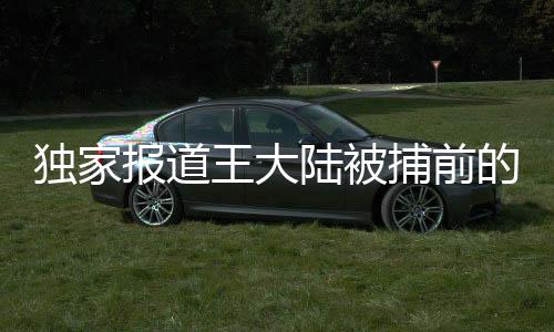 獨(dú)家報道王大陸被捕前的隱秘畫面曝光