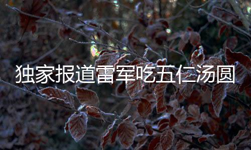 獨家報道雷軍吃五仁湯圓破防，深度解析背后故事與影響