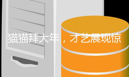 貓貓拜大年，才藝展現(xiàn)驚艷四座，精湛技藝俘獲無(wú)數(shù)心
