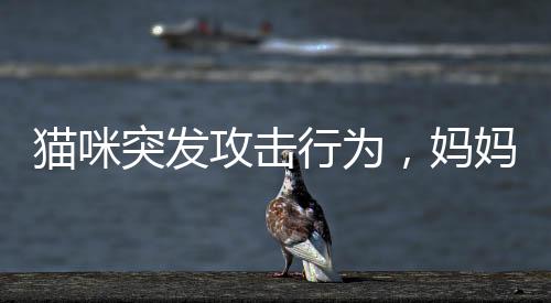 貓咪突發(fā)攻擊行為，媽媽機智保護小孩——一次意外的寵物安全事件引發(fā)關注