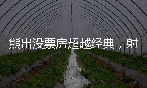 熊出沒(méi)票房超越經(jīng)典，射雕英雄傳面臨的挑戰(zhàn)與思考