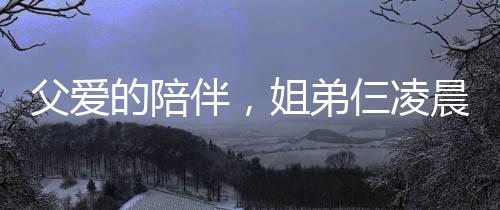 父愛的陪伴，姐弟仨凌晨返程，一夜守護(hù)見證深情