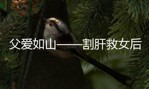 父愛如山——割肝救女后爸爸忍痛開網(wǎng)約車扛起家