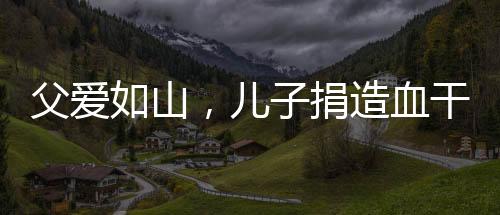 父愛(ài)如山，兒子捐造血干細(xì)胞拯救患白血病的父親