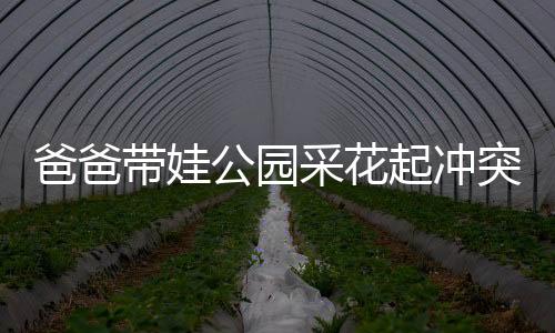 爸爸帶娃公園采花起沖突，家庭教育與社會責(zé)任引深思