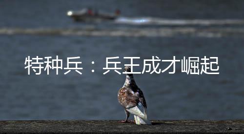 特種兵：兵王成才崛起