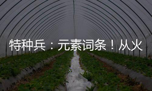 特種兵：元素詞條！從火鳳凰開始