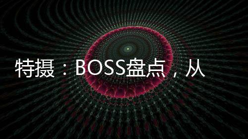 特攝：BOSS盤點，從零號開始