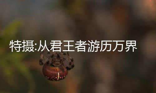 特?cái)z:從君王者游歷萬界