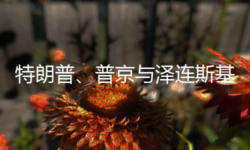 特朗普、普京與澤連斯基，能否談妥停戰(zhàn)？
