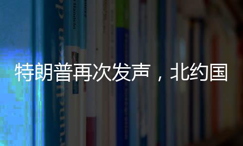 特朗普再次發(fā)聲，北約國家若不承擔費用，將失去安全保障——重塑全球安全格局的挑戰(zhàn)與反思